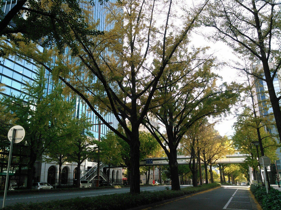 Sakura Avenue Lined with Ginkgo Tree-Naka必去景点