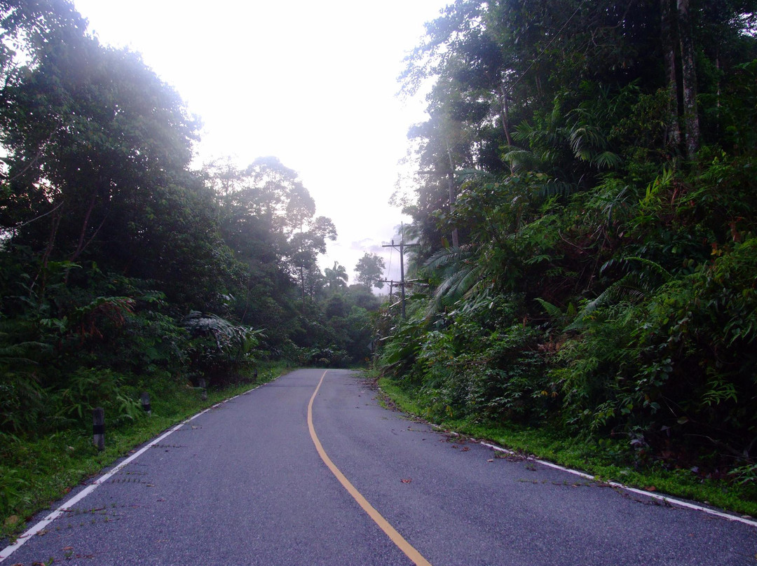 Hala-Bala Wildlife Sanctuary景点图片