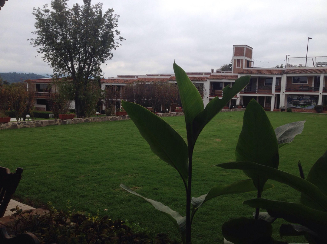 Hotel Los Sauces Villa del Carbon主图