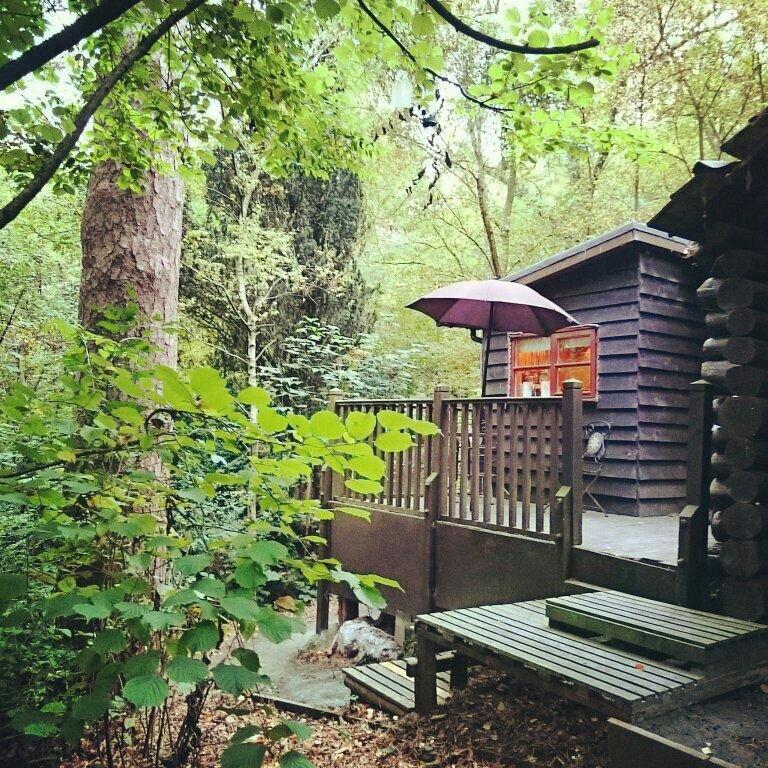The Pinetum Lodge-浴室