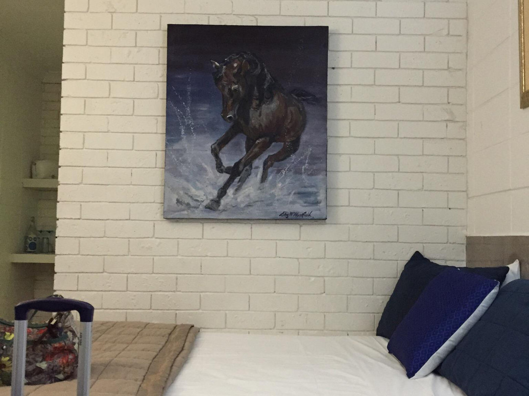 Surf Street Motel主图