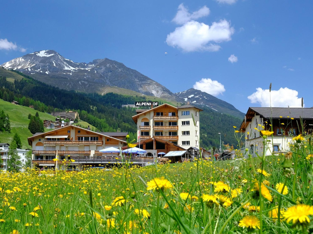 Frauenkirch酒店住宿-Hotel Alpenhof