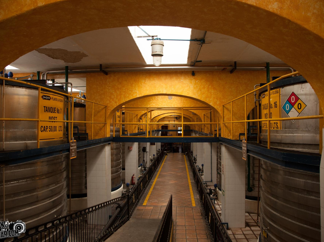 Estacion Turistica Gdl-瓜达拉哈拉必去景点