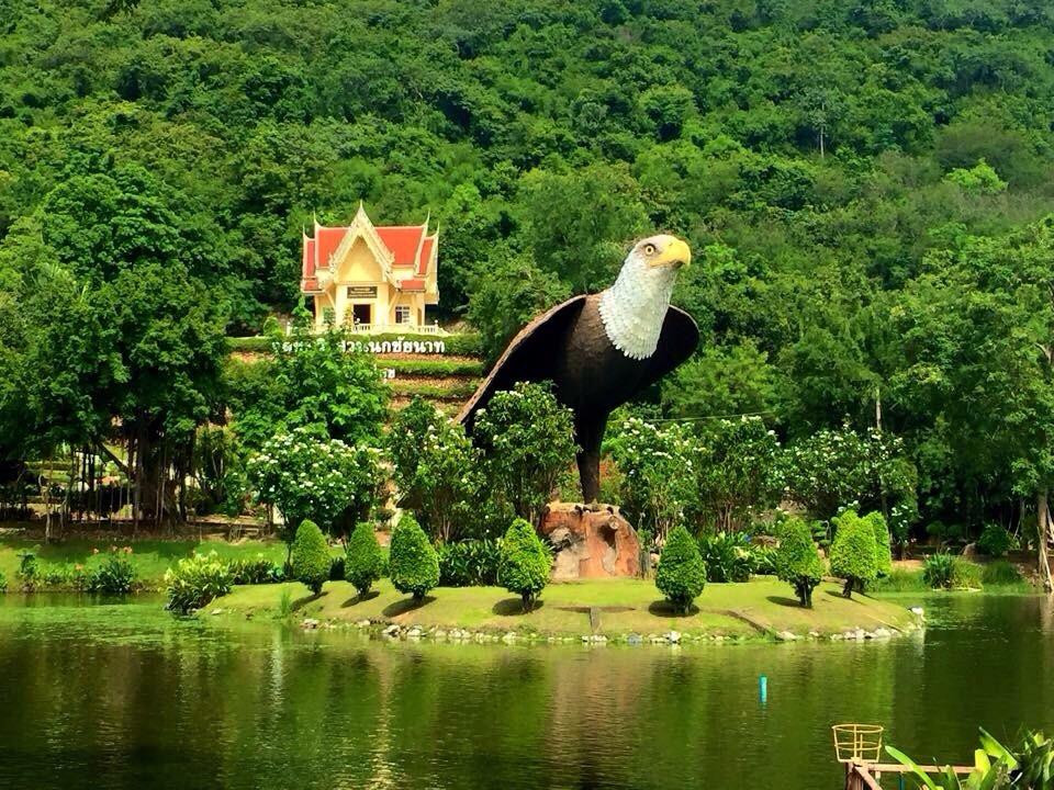 Chainat bird park-猜纳必去景点