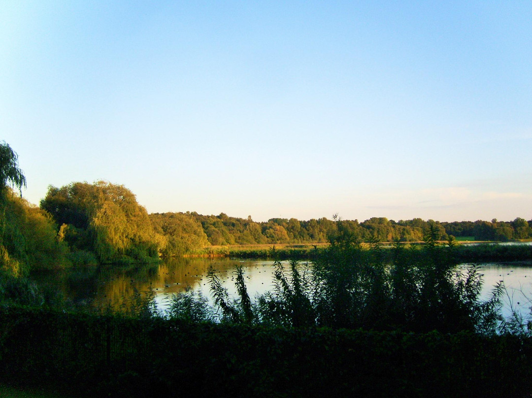 Öjendorfer Park景点图片