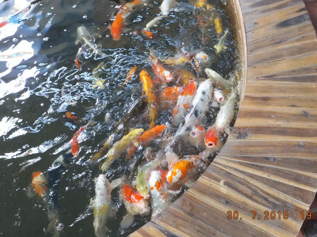 An Hai Tay餐馆和美食-Peek a Boo