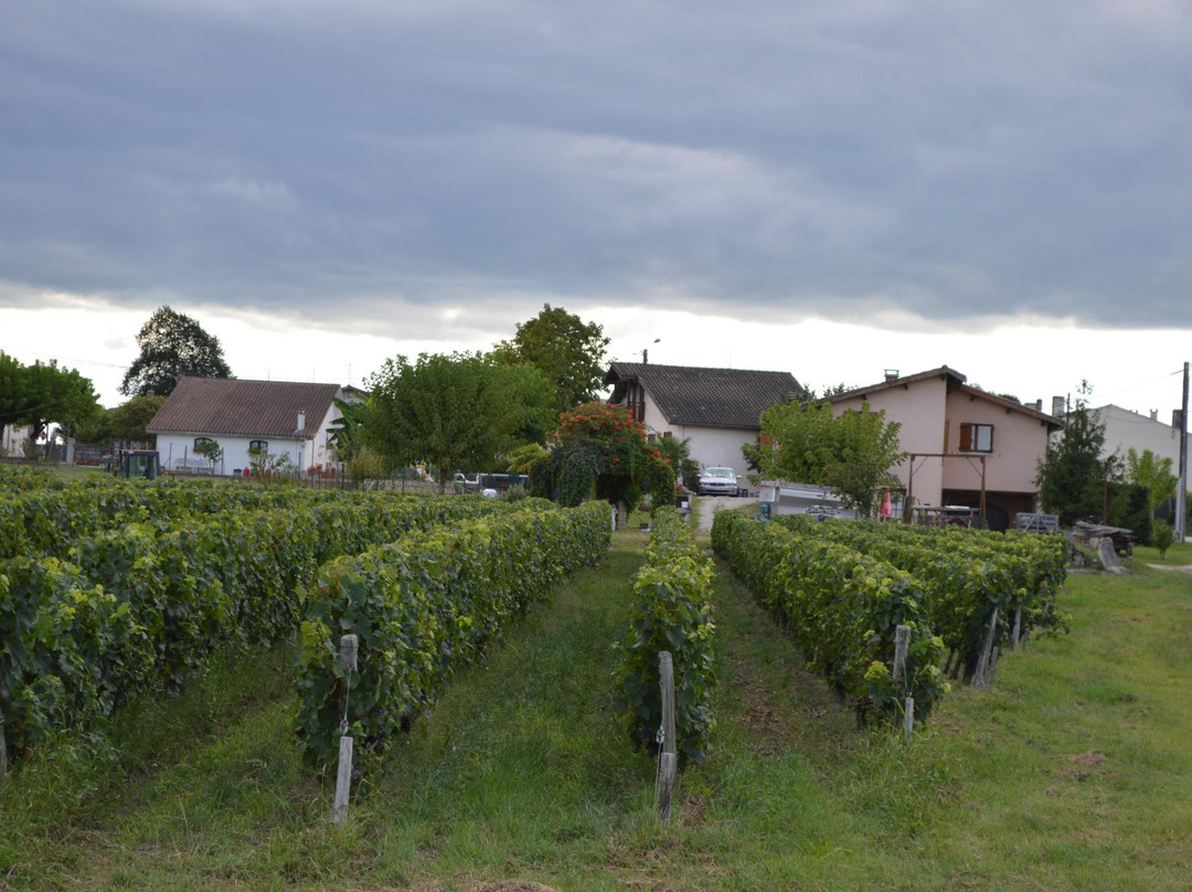 Clos La Rose de Grave主图