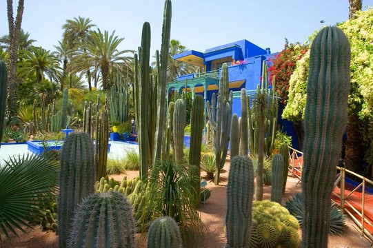 马拉喀什旅游景点-马若雷勒花园