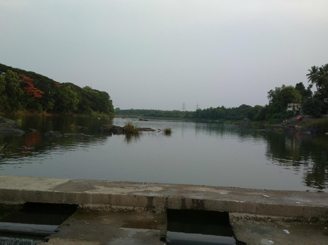 Mattur Lake景点图片