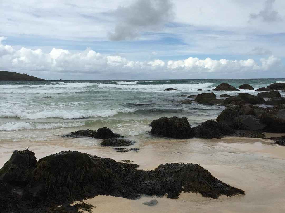 Porthgwidden Beach-圣艾维斯必去景点