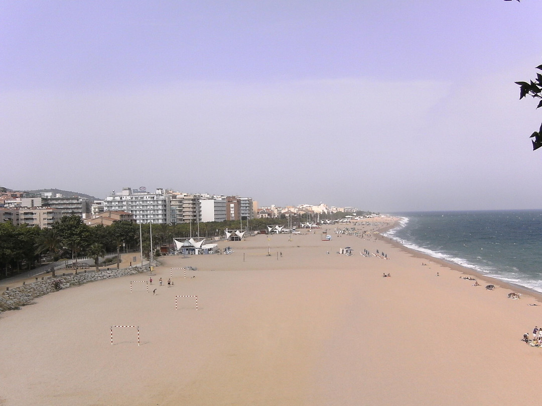 Playas de Calella景点图片