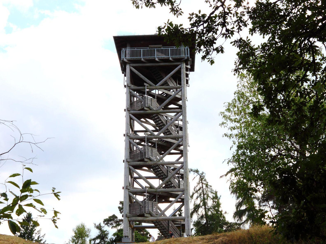 Förderverein Hausbergturm-Butzbach必去景点