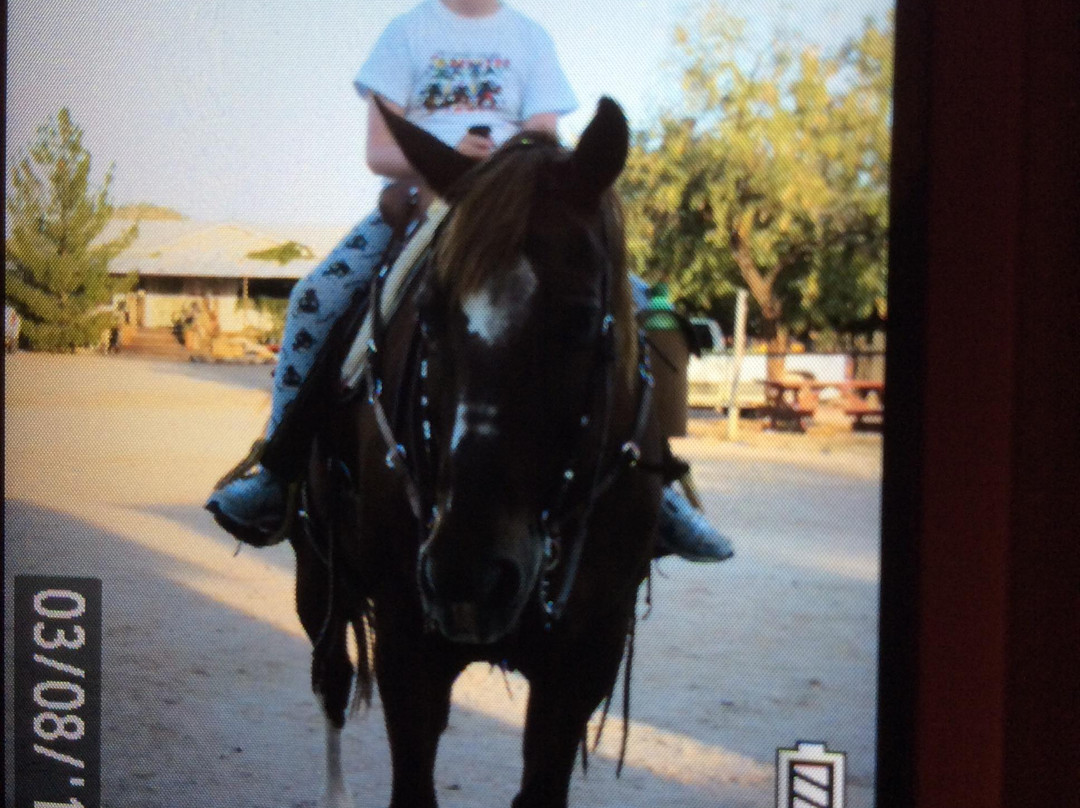 Effus Ranch-Wickenburg必去景点