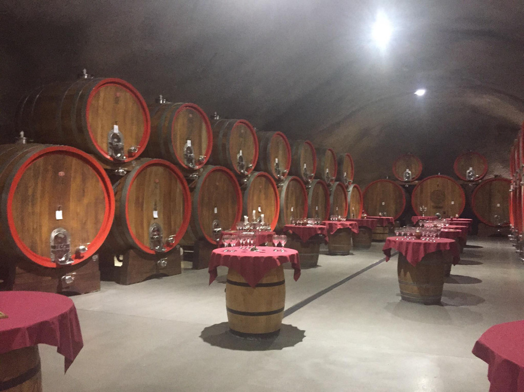 Wine Cellar Šipčanik, 13.jul Plantaže-Tuzi必去景点