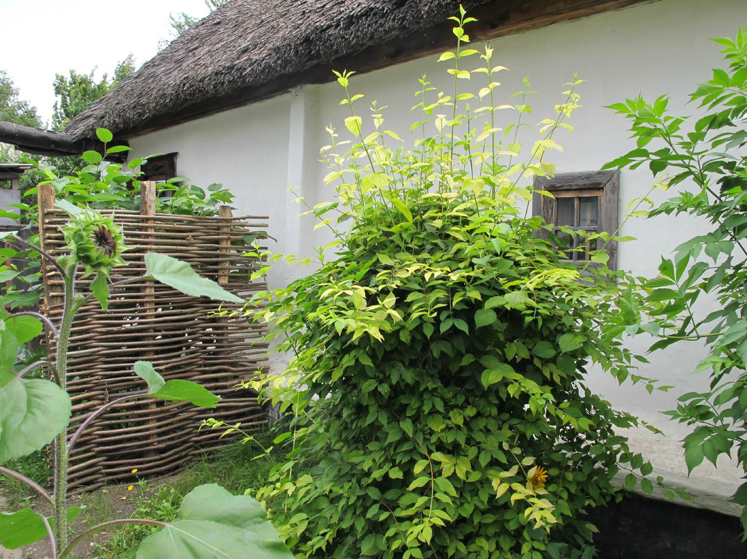 House-Museum of Kramskoi景点图片