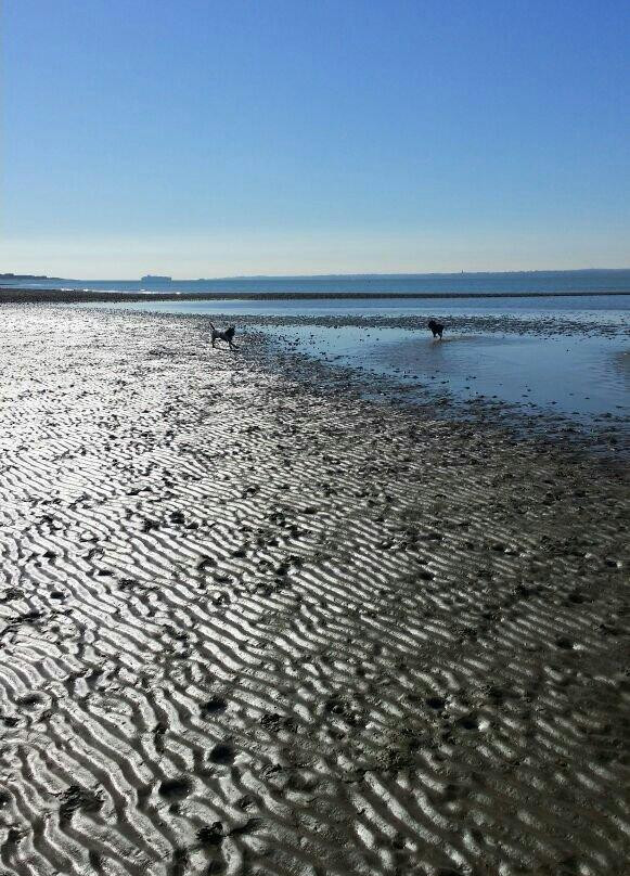 Lee On Solent Beach景点图片