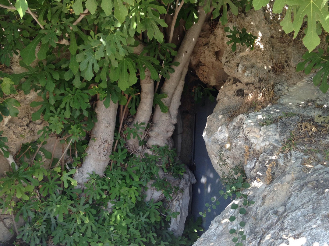 Incirli Cave景点图片