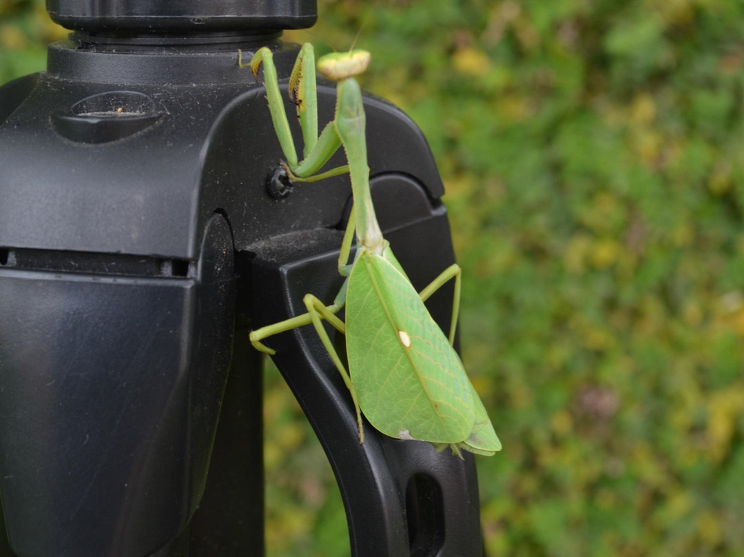 Parque do Tucuma-Rio Branco必去景点