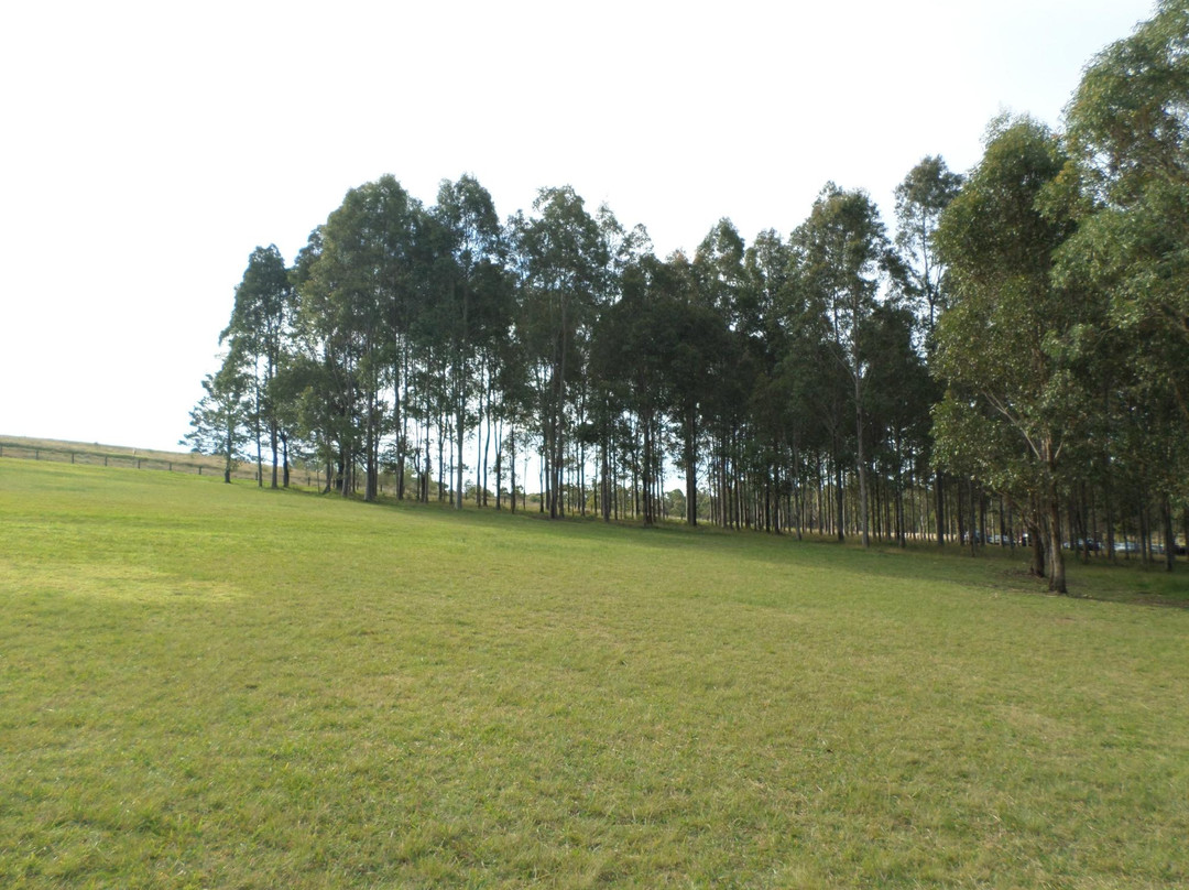 Rouse Hill Regional Park景点图片