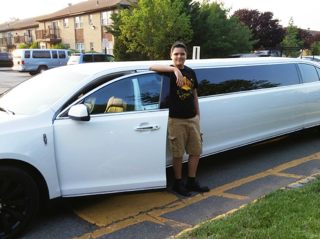 Santos VIP Limousine景点图片