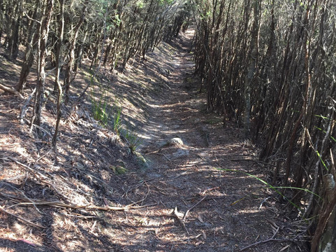 Strzelecki National Park-Flinders Island必去景点