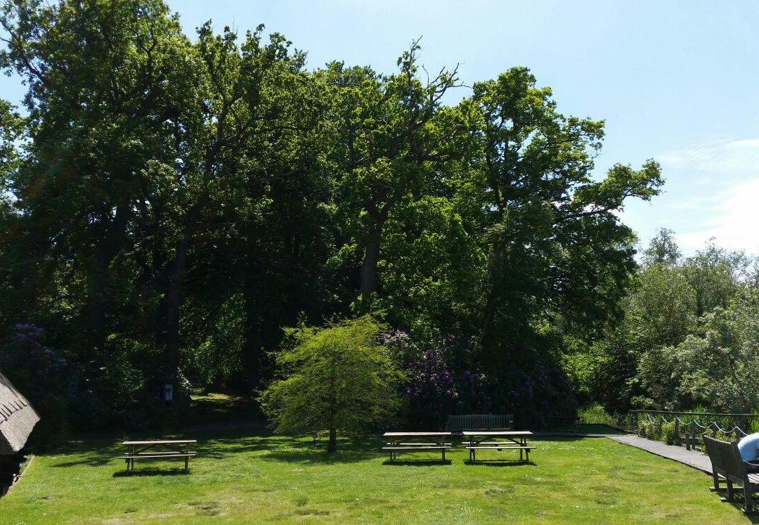 Fairhaven Woodland and Water Garden景点图片