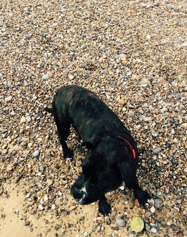 Dunwich Heath and Beach-Dunwich必去景点