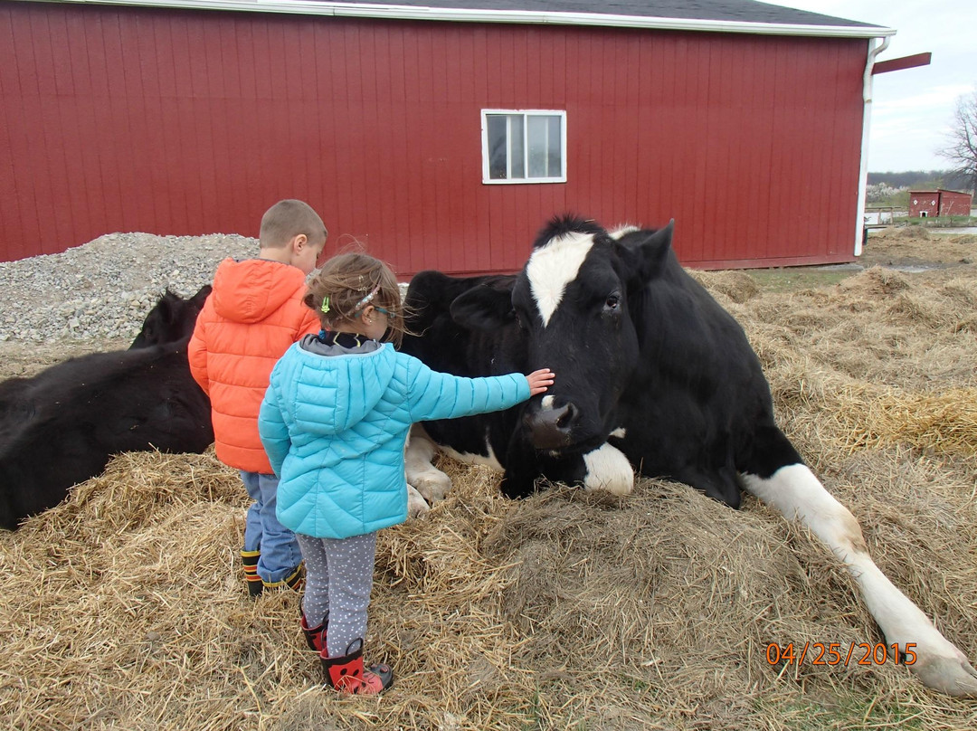 Sunrise Animal Sanctuary-马里斯维尔必去景点