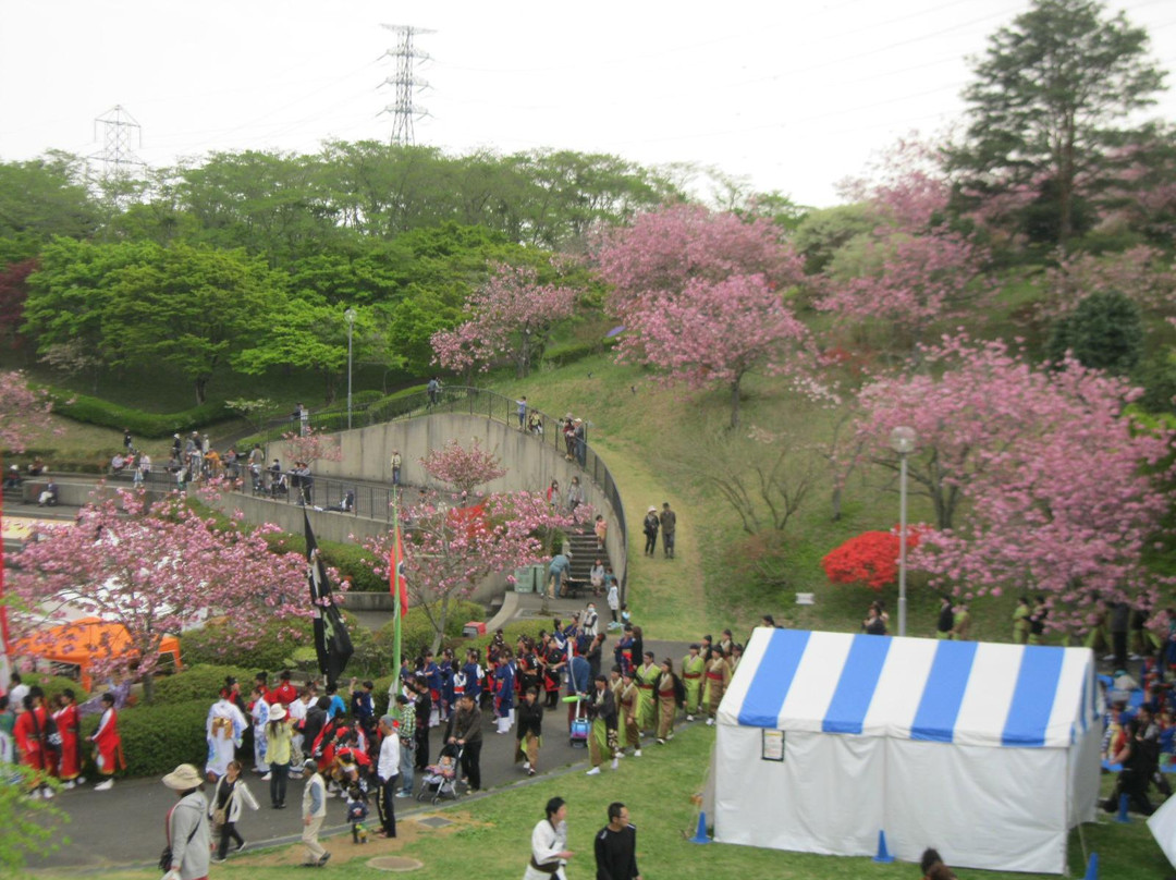Shizumine Furusato Park景点图片