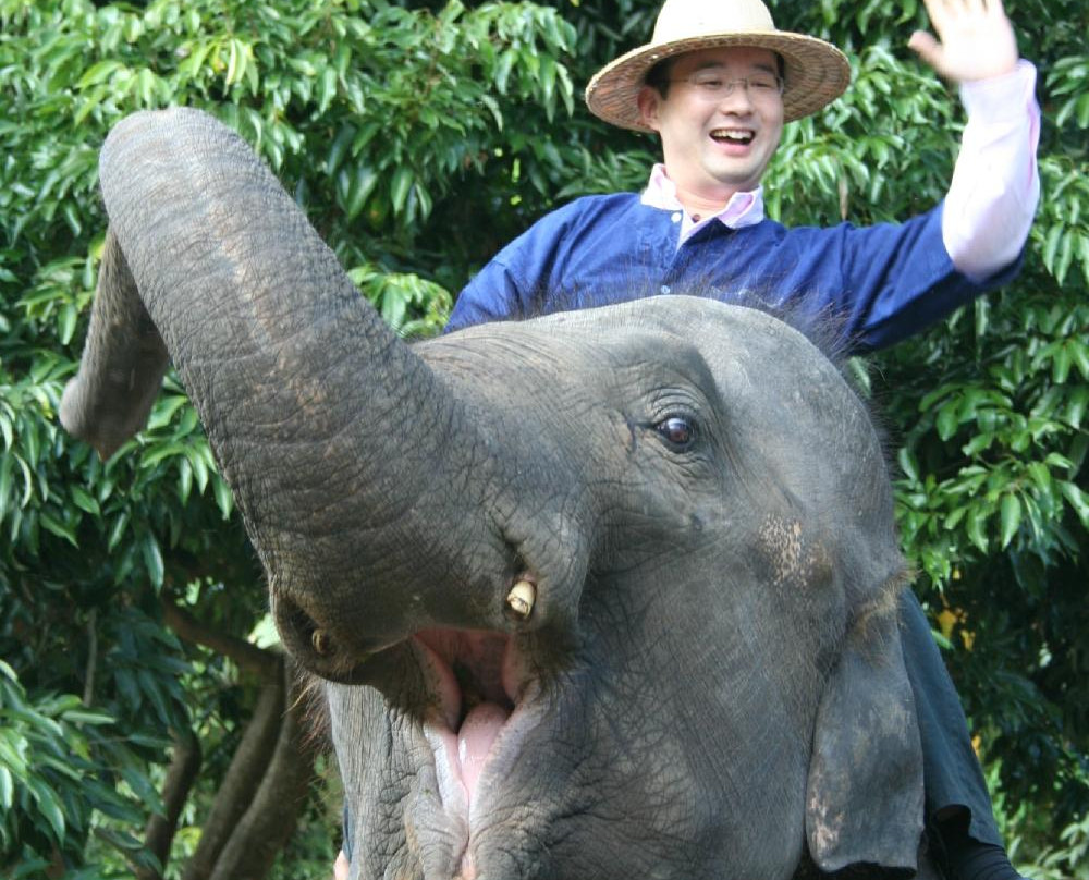 Elephant Life Experience-夜登必去景点