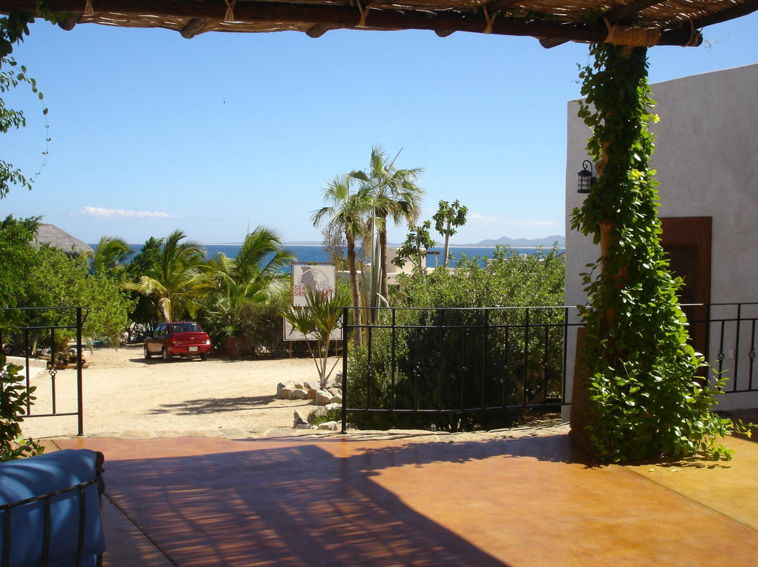 Sea Sniper Baja-El Sargento必去景点