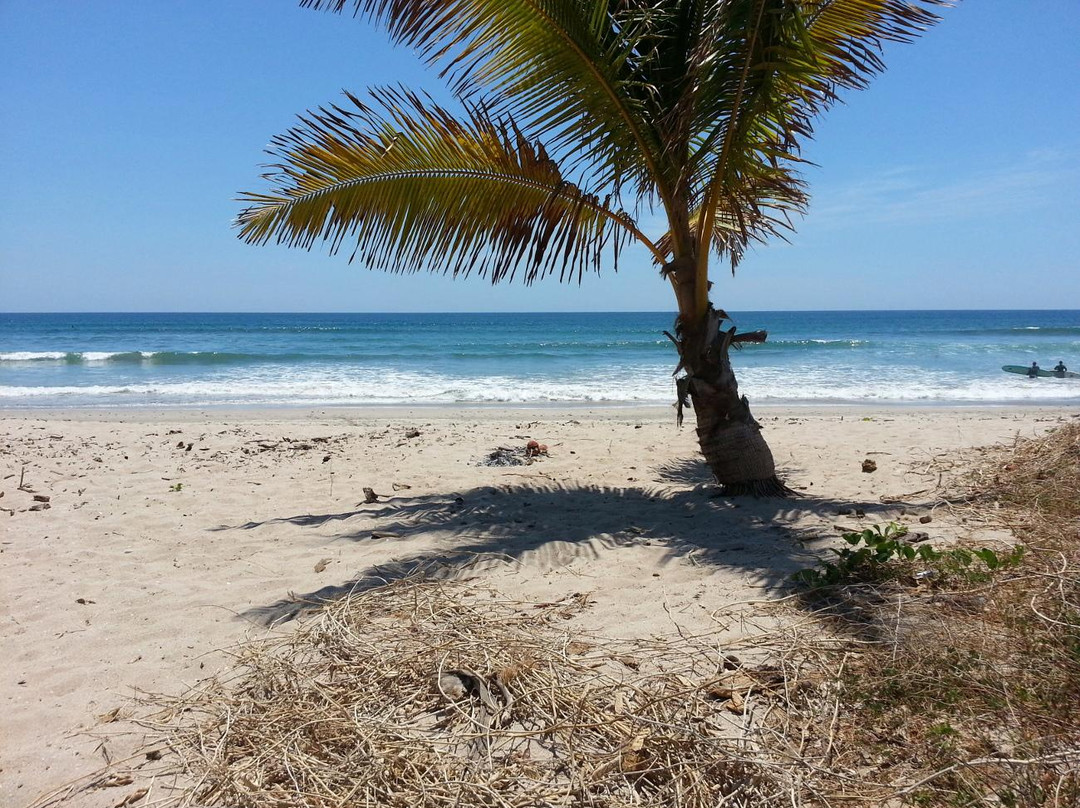 Playa Guiones景点图片