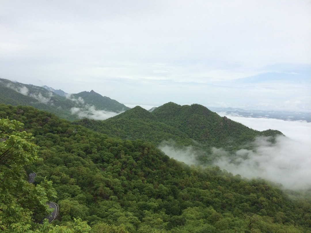 Townview Point景点图片