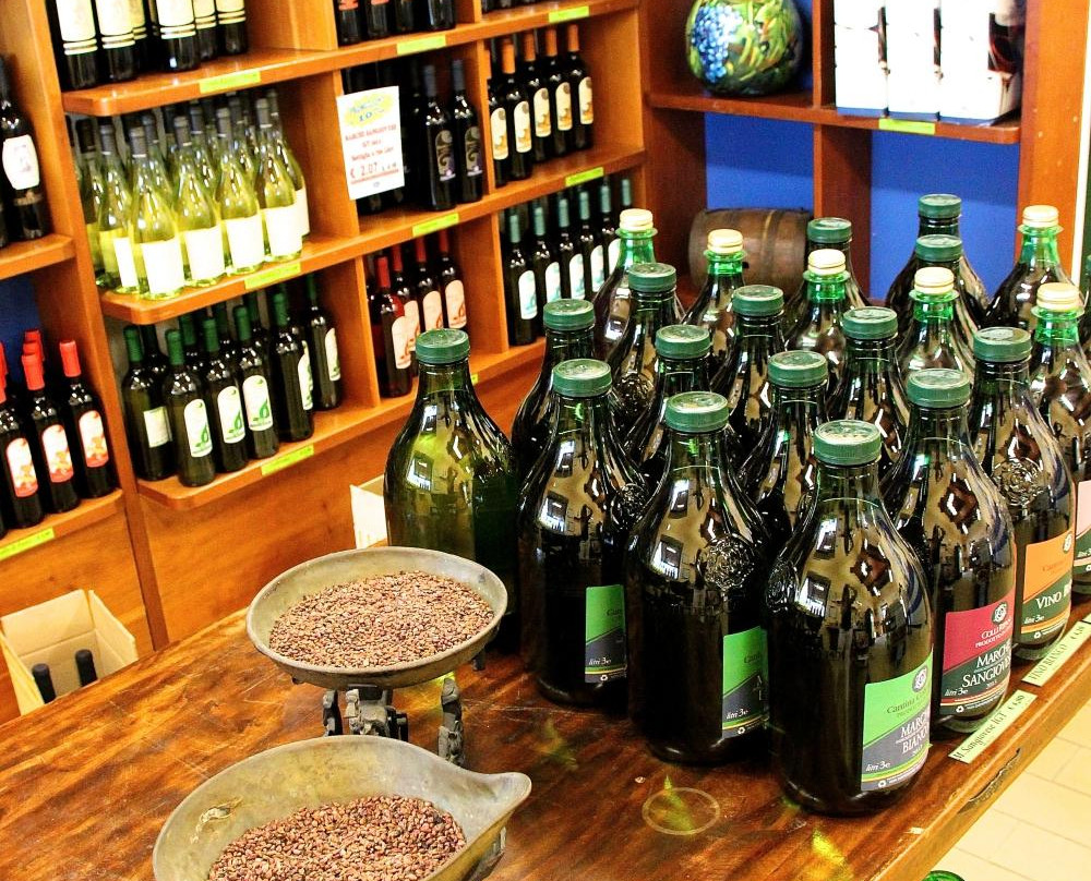 Cantina Colli Ripani