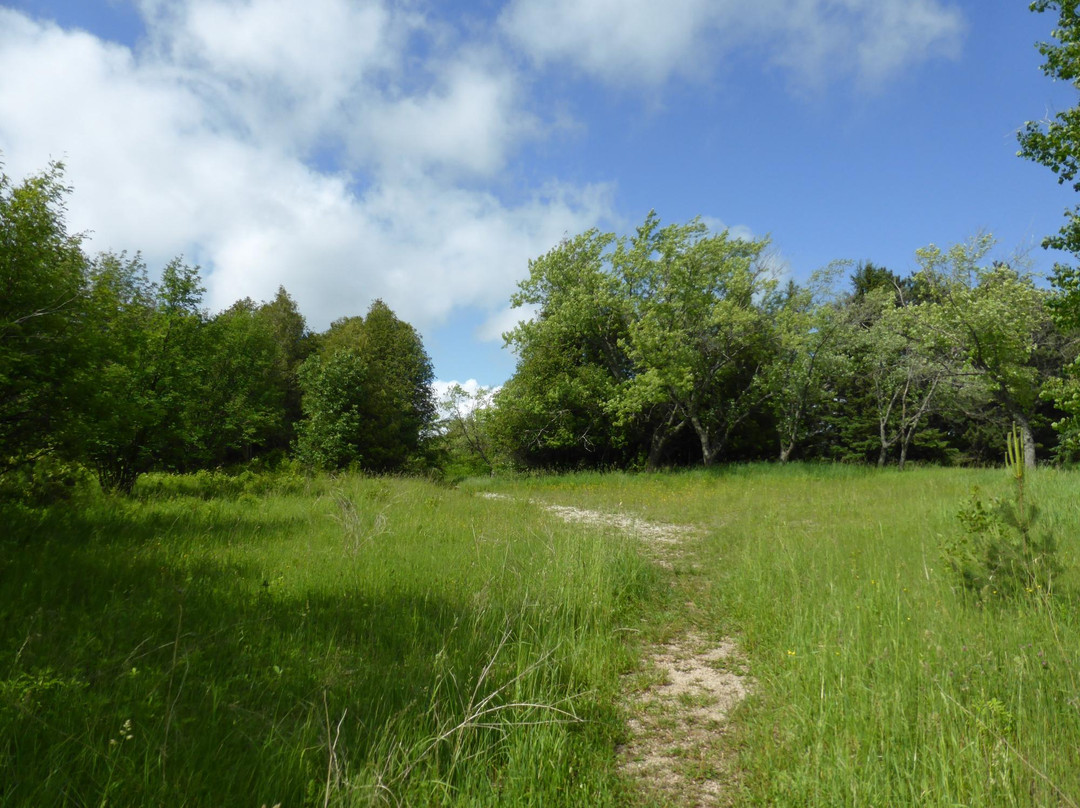 Devils Glen Provincial Park-Singhampton必去景点