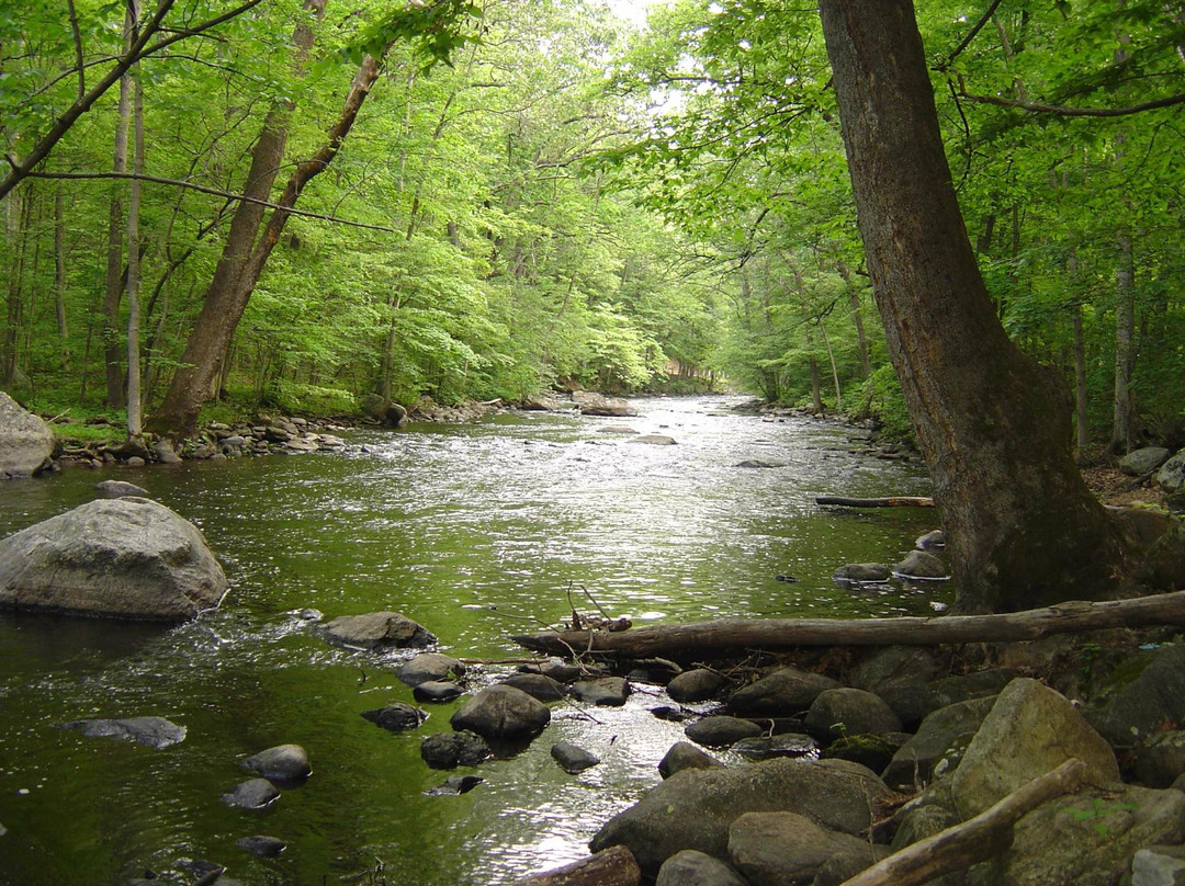 Stephens State Park景点图片