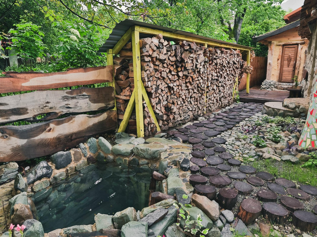 Mikhailovskiye Movnitsy Bath and Spa景点图片