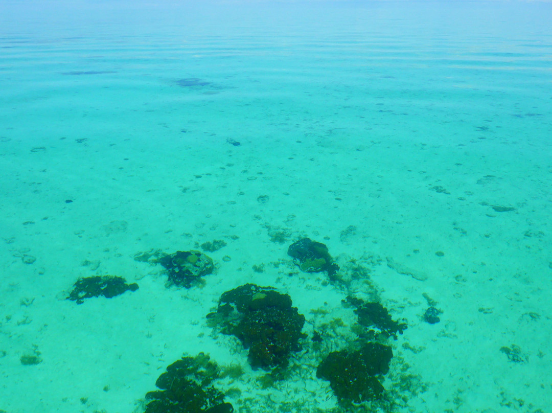 One Stop Sporting Shop-North Caicos必去景点