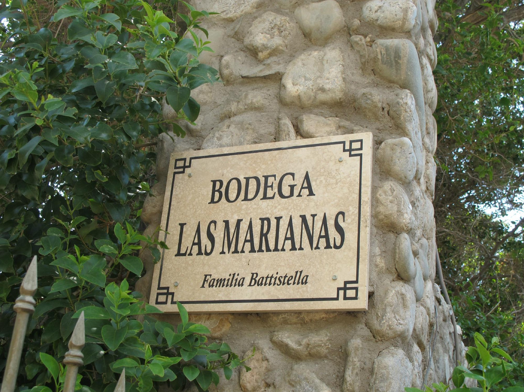 Bodega Las Marianas景点图片