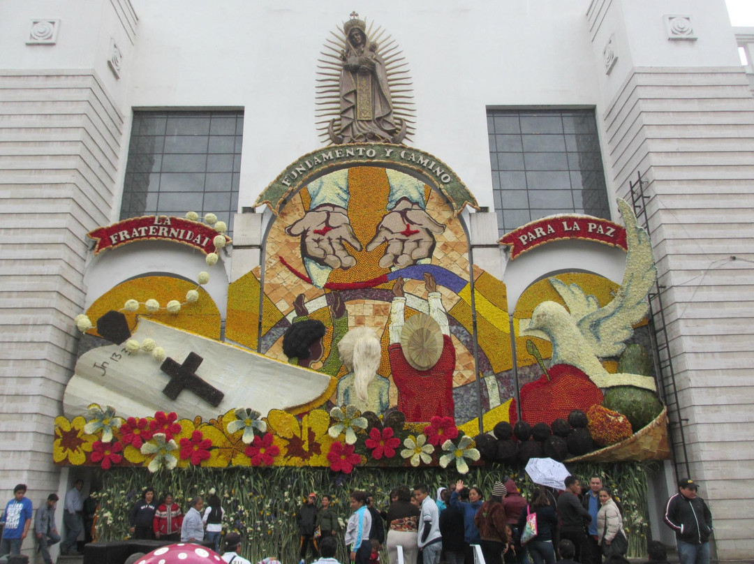 La Catedral de Ambato-安巴托必去景点