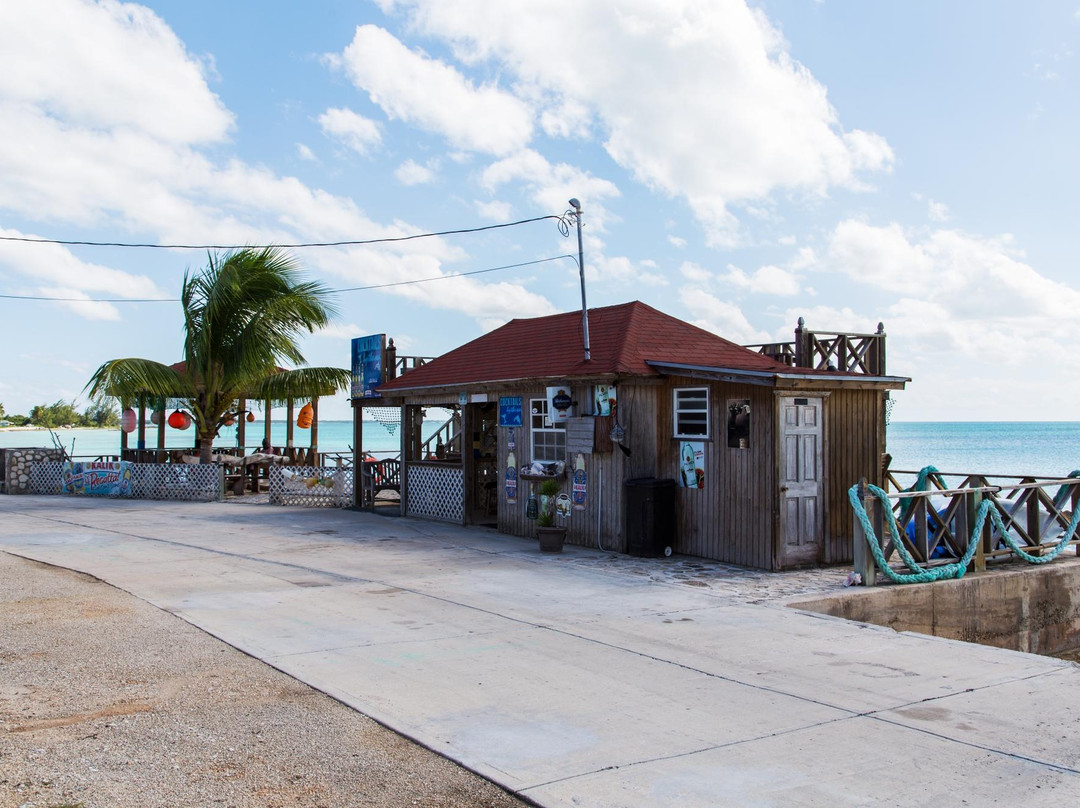Cocktails by the Sea-Cat Island必去景点