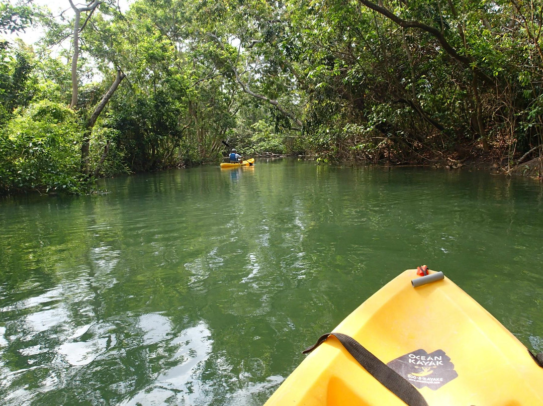 Mayan World Adventures-切图马尔必去景点