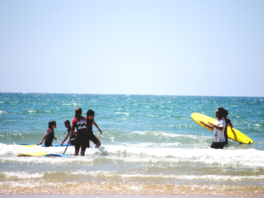 Nouvelle Vague Surf School景点图片