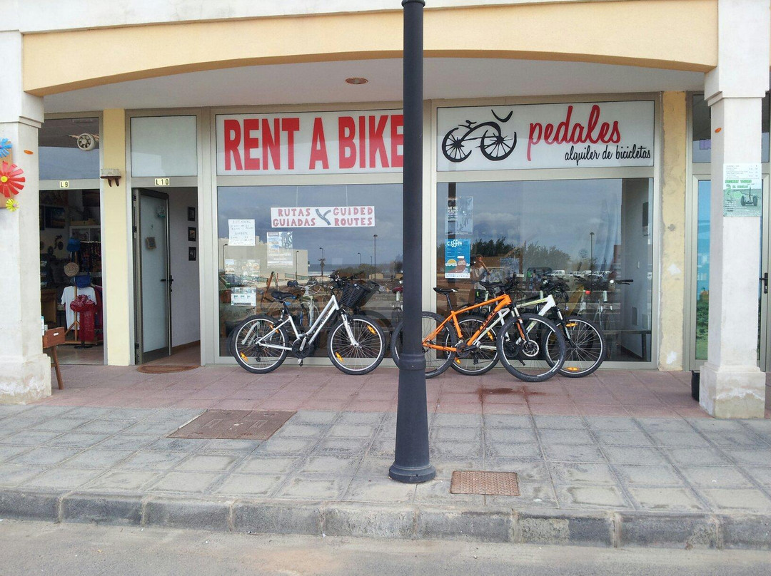 Pedales Bike Rental景点图片
