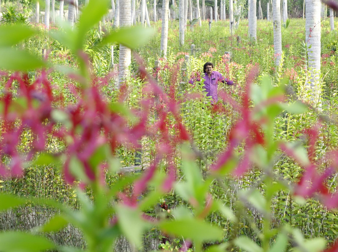 Sea Side Orchid Farm景点图片