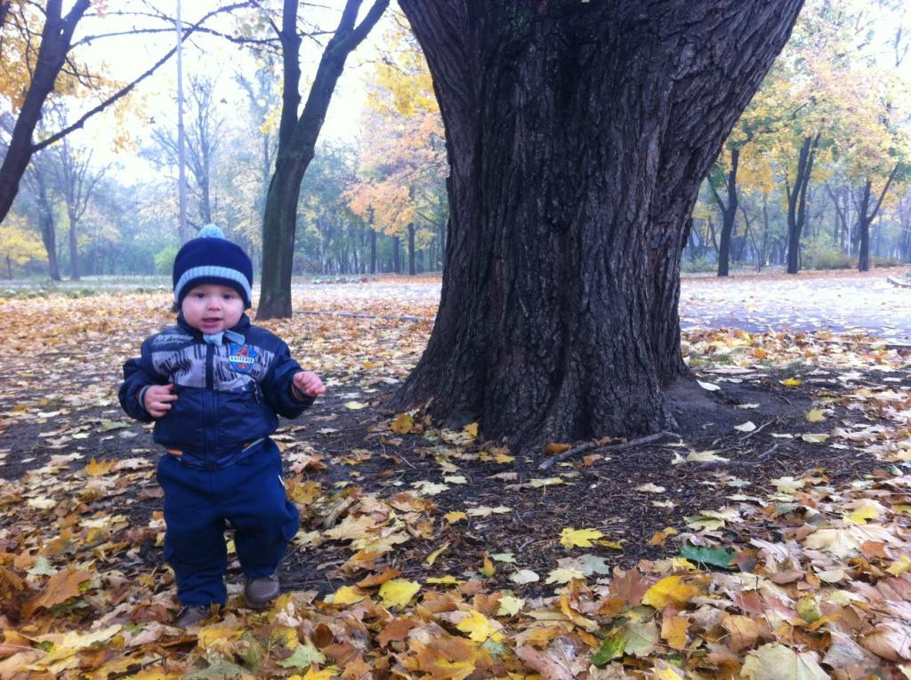 Taras Shevchenko Park-第聂伯罗必去景点