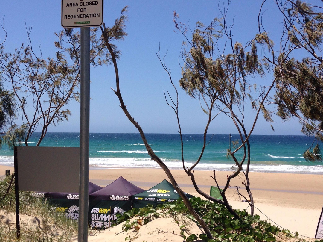 Peregian Beach Park景点图片