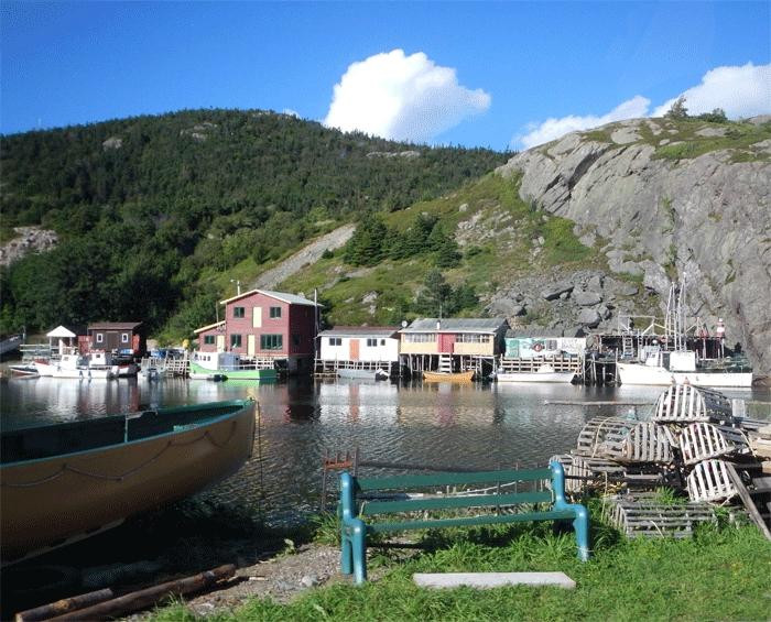 McCarthy's Party - Day Tours-圣约翰必去景点