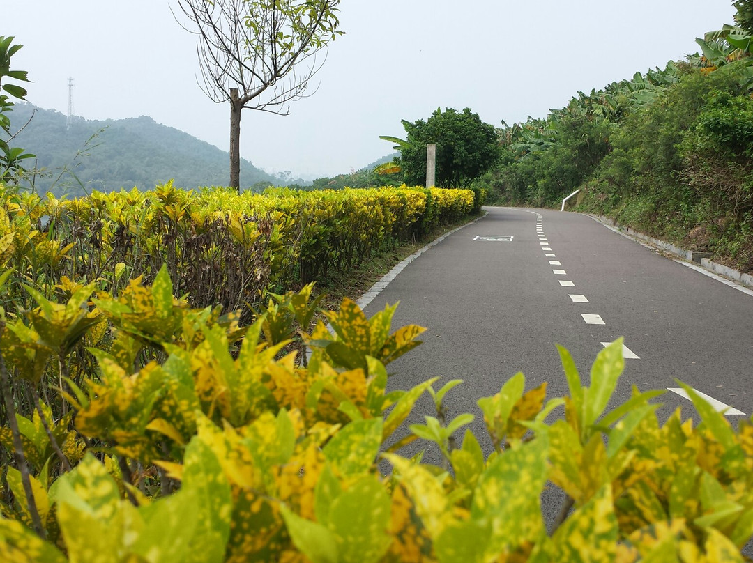 金钟水库-中山市必去景点
