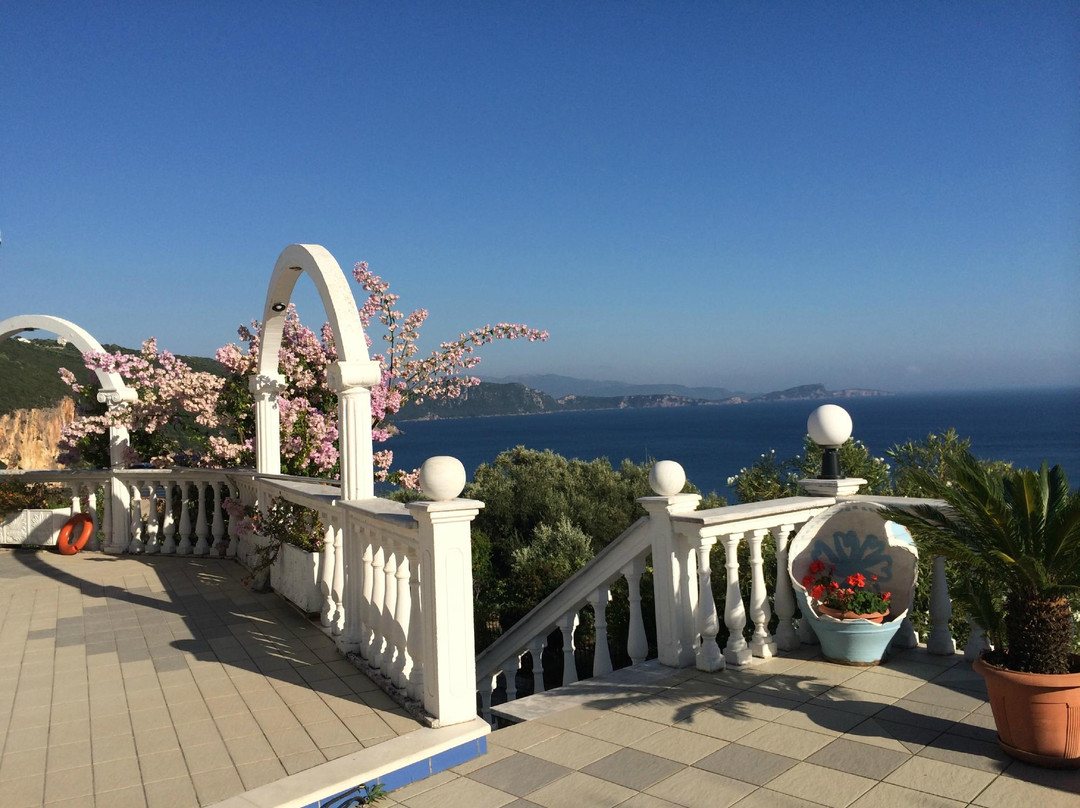 Dolphin Apartments主图